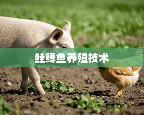 鲑鳟鱼养殖技术