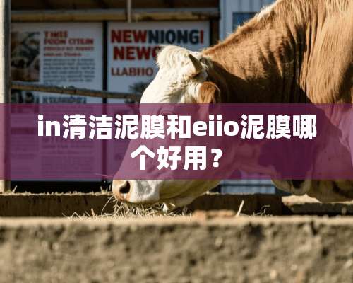 in清洁泥膜和eiio泥膜哪个好用？