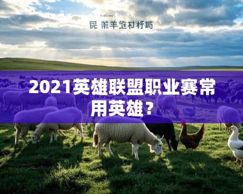 2021英雄联盟职业赛常用英雄？