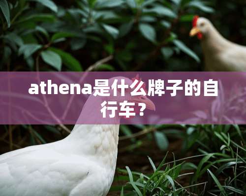 athena是什么牌子的自行车？