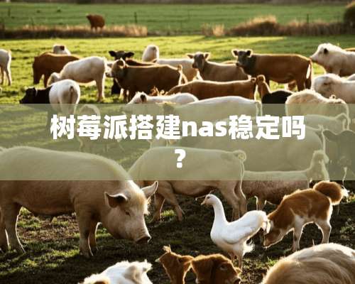 树莓派搭建nas稳定吗？