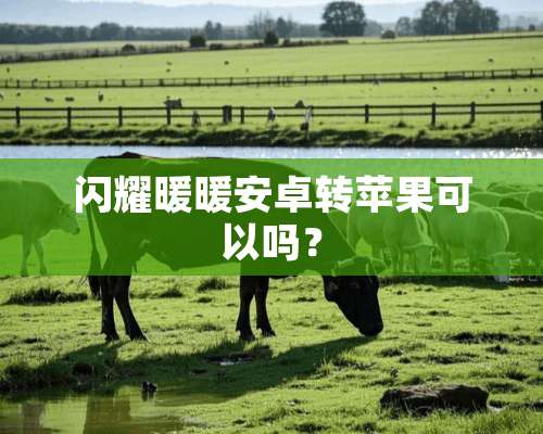 闪耀暖暖安卓转苹果可以吗？