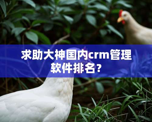 求助大神国内crm管理软件排名？