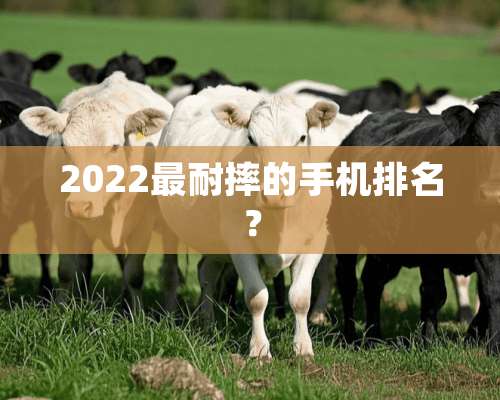 2022最耐摔的手机排名？