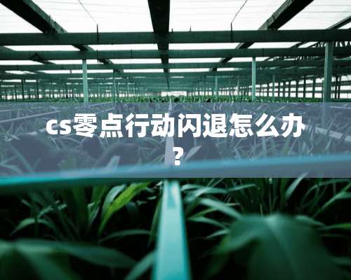 cs零点行动闪退怎么办？