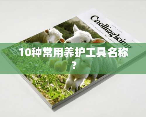 10种常用养护工具名称？