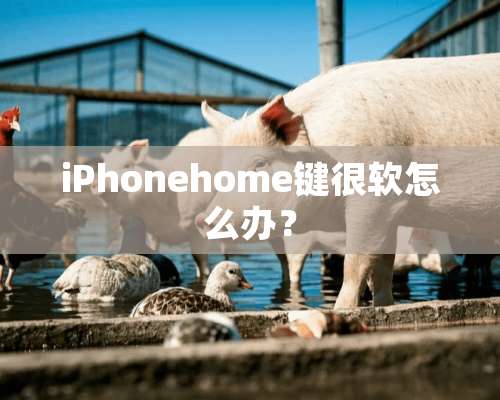 iPhonehome键很软怎么办？