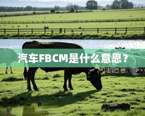 汽车FBCM是什么意思？