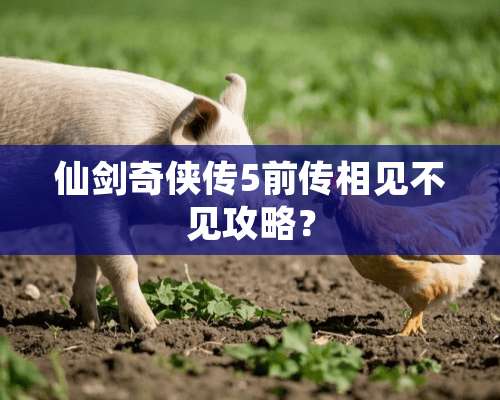 仙剑奇侠传5前传相见不见攻略？