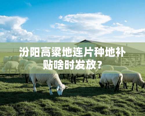 汾阳高粱地连片种地补贴啥时发放？