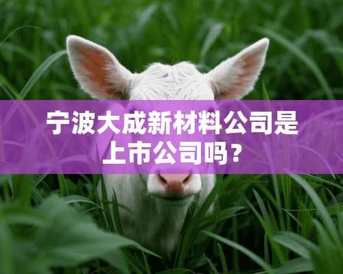 宁波大成新材料公司是上市公司吗？