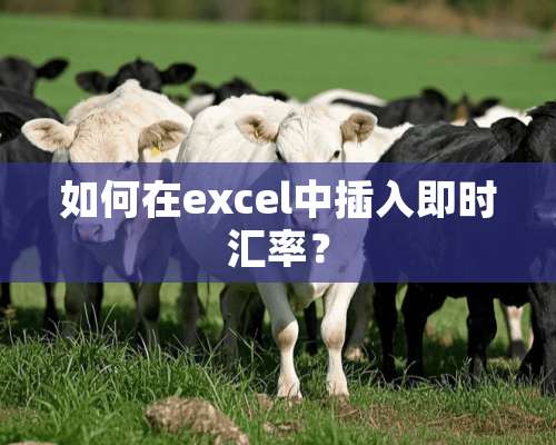 如何在excel中插入即时汇率？