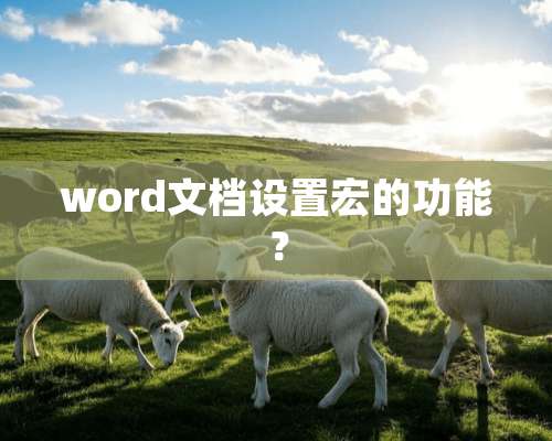 word文档设置宏的功能？