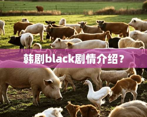 韩剧black剧情介绍？