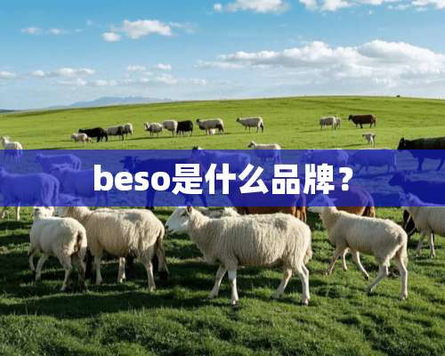 beso是什么品牌？