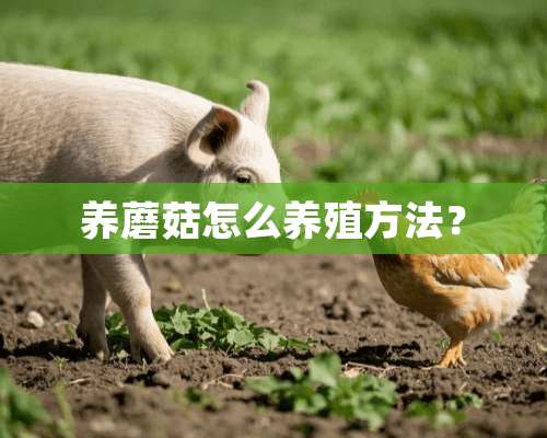 养蘑菇怎么养殖方法？