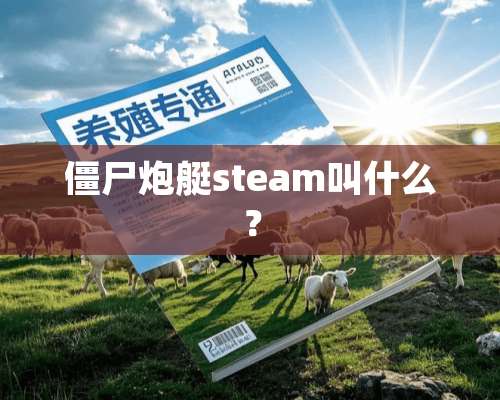 僵尸*艇steam叫什么？