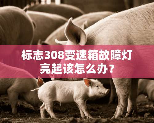 标志308变速箱故障灯亮起该怎么办？