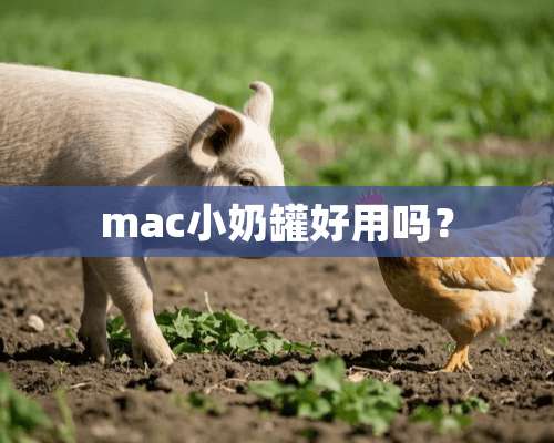 mac小奶罐好用吗？