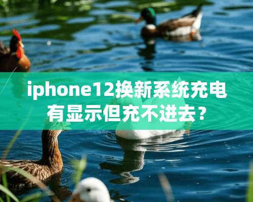 iphone12换新系统充电有显示但充不进去？