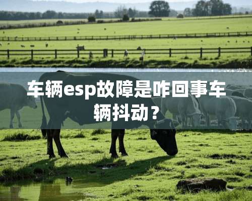 车辆esp故障是咋回事车辆抖动？