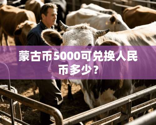 蒙古币5000可兑换人民币多少？