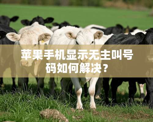 苹果手机显示无主叫号码如何解决？