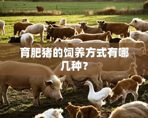 育肥猪的饲养方式有哪几种？