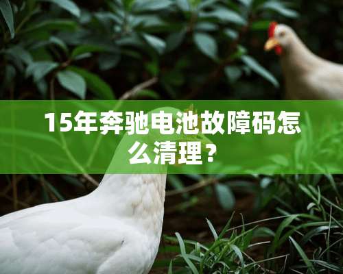 15年奔驰电池故障码怎么清理？