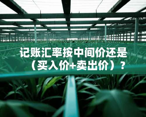 记账汇率按中间价还是（买入价+卖出价）？