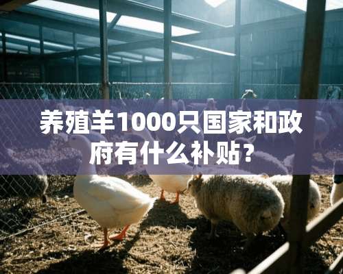 养殖羊1000只国家和政府有什么补贴？