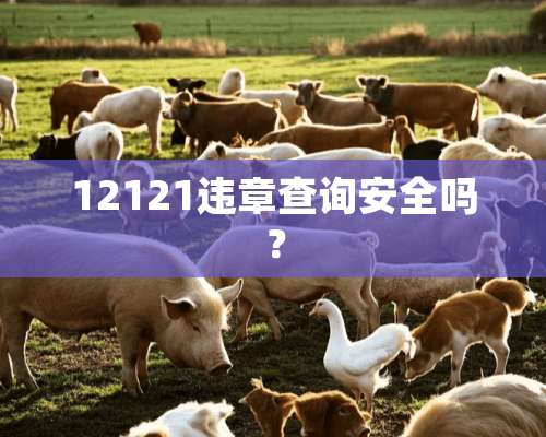 12121违章查询安全吗？