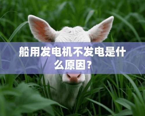 船用发电机不发电是什么原因？