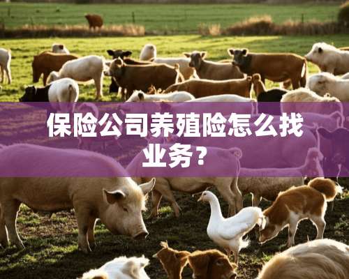 保险公司养殖险怎么找业务？