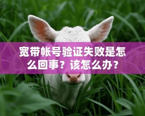 宽带帐号验证失败是怎么回事？该怎么办？