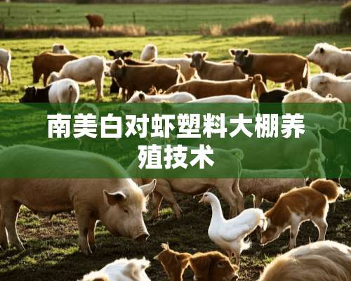 南美白对虾塑料大棚养殖技术