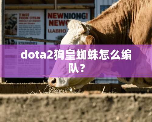 dota2狗皇蜘蛛怎么编队？