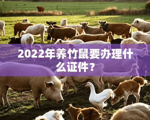 2022年养竹鼠要办理什么证件？