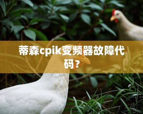 蒂森cpik变频器故障代码？