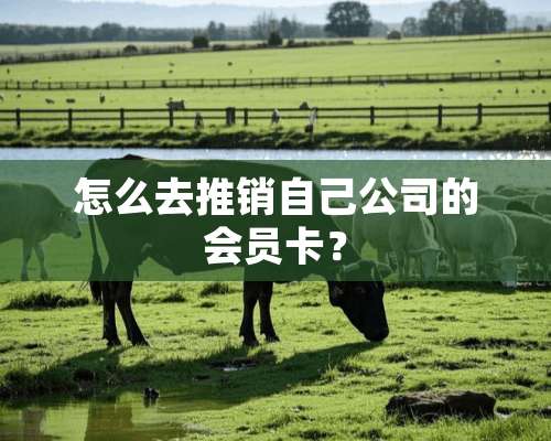 怎么去推销自己公司的会员卡？