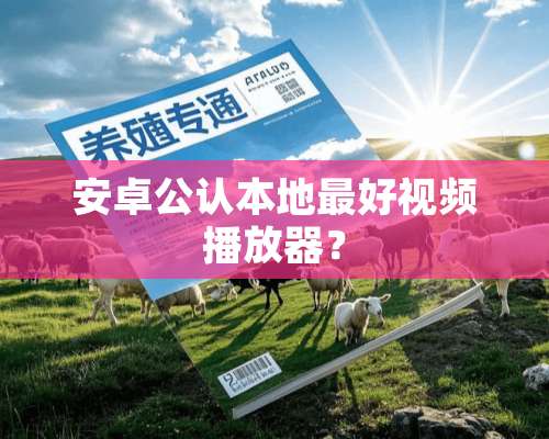 安卓公认本地最好视频播放器？