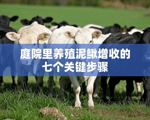 庭院里养殖泥鳅增收的七个关键步骤