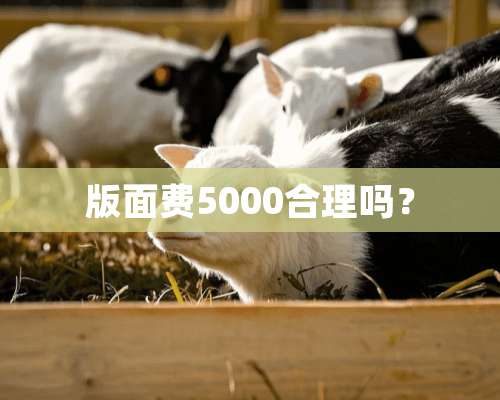 版面费5000合理吗？