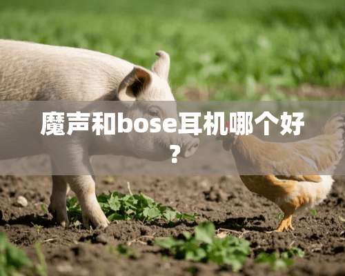 魔声和bose耳机哪个好？