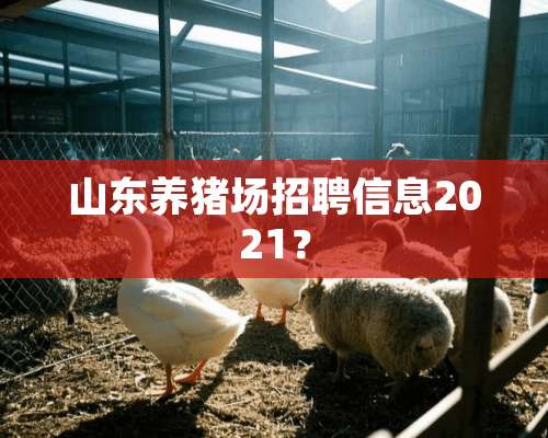 山东养猪场招聘信息2021？