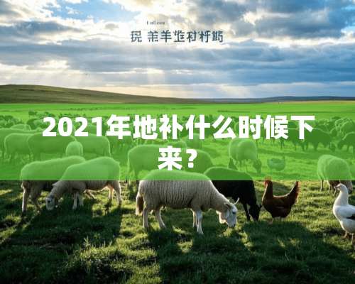 2021年地补什么时候下来？