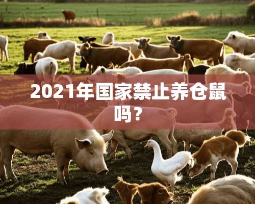 2021年国家禁止养仓鼠吗？