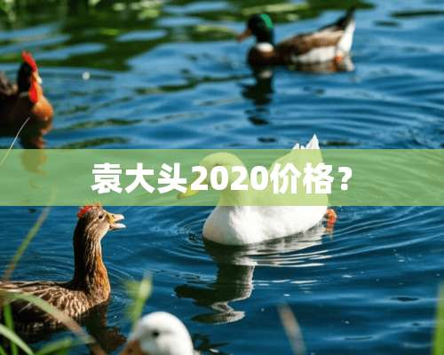 袁大头2020价格？