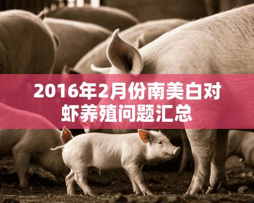 2016年2月份南美白对虾养殖问题汇总