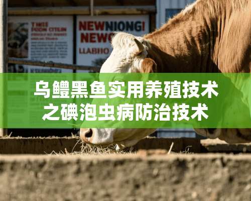 乌鳢黑鱼实用养殖技术之碘泡虫病防治技术